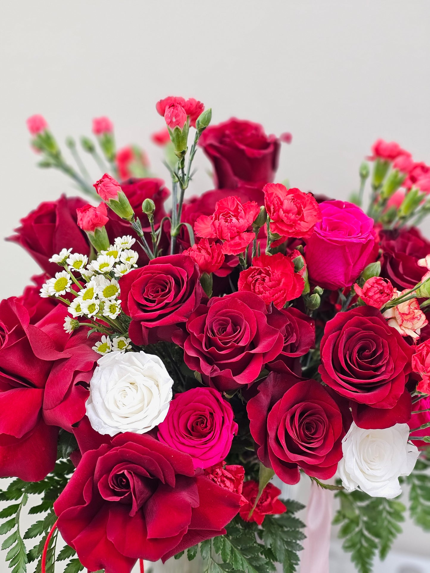 Cut Red Rose Romantic