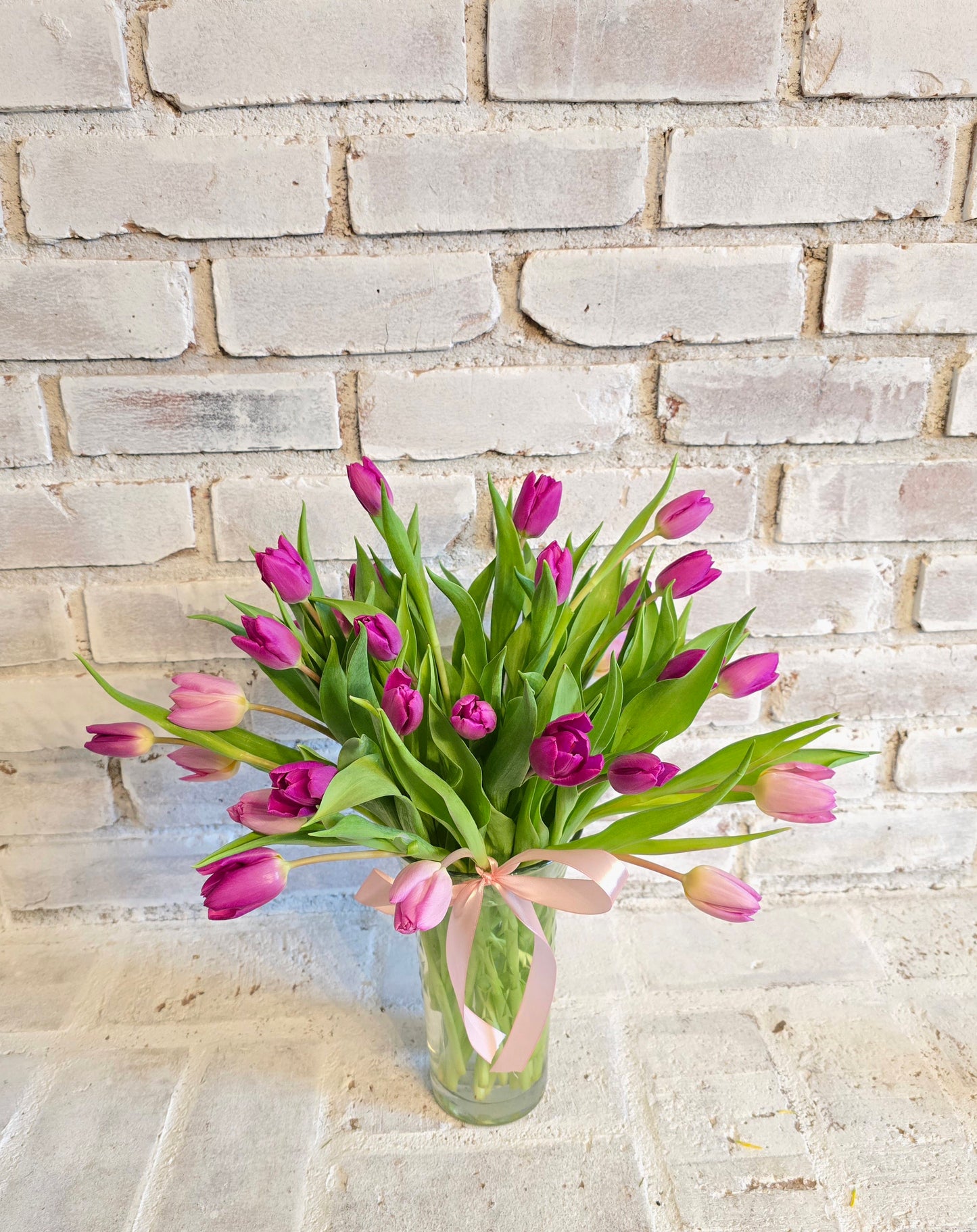 Fresh Tulips Flowers